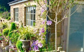 Lavender Cottage