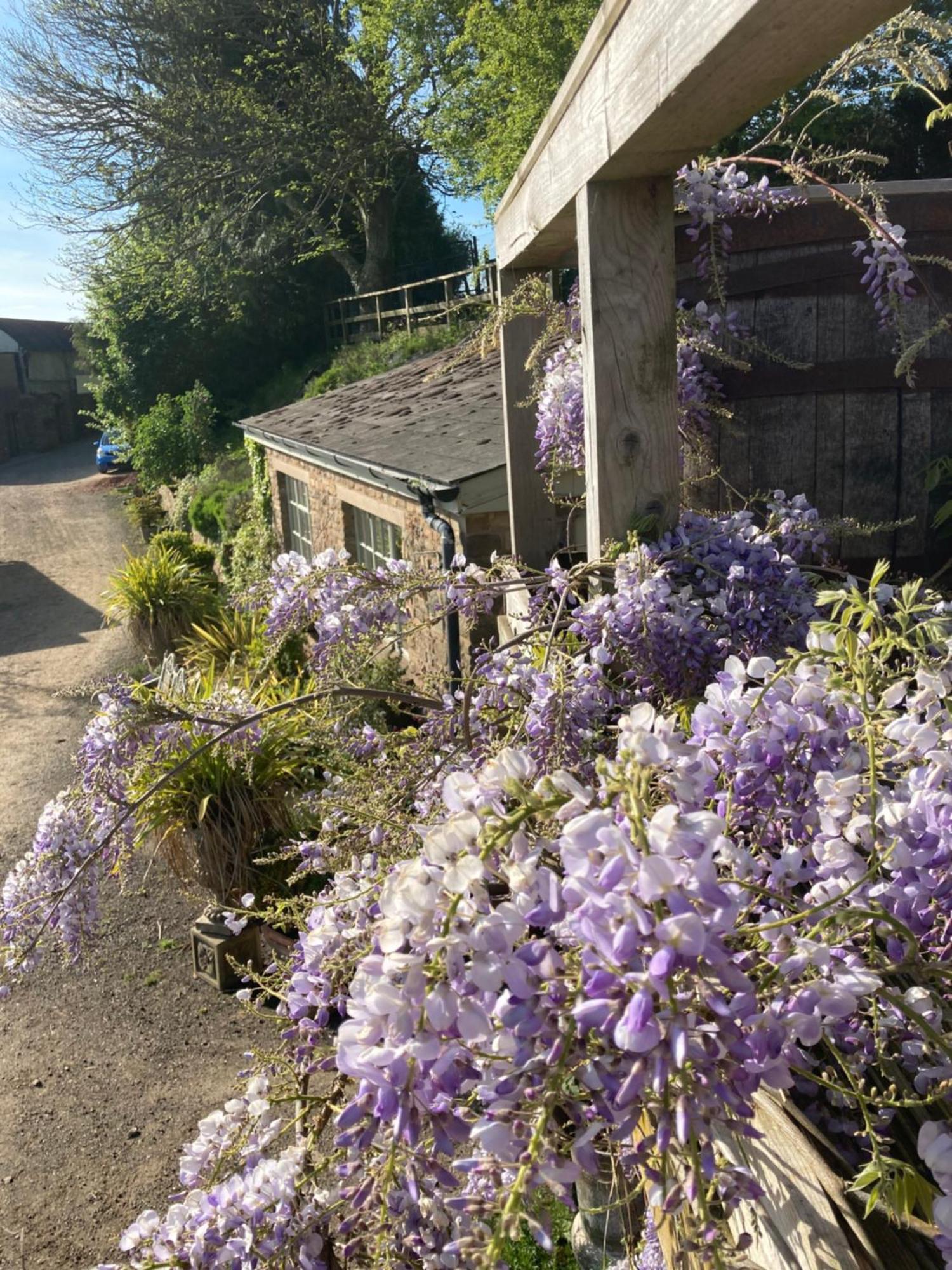 Lavender Cottage Gloucester Exterior photo